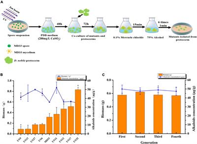 Comparative Transcriptome Analysis of Genes Involved in Sesquiterpene Alkaloid Biosynthesis in Trichoderma longibrachiatum MD33 and UN32
